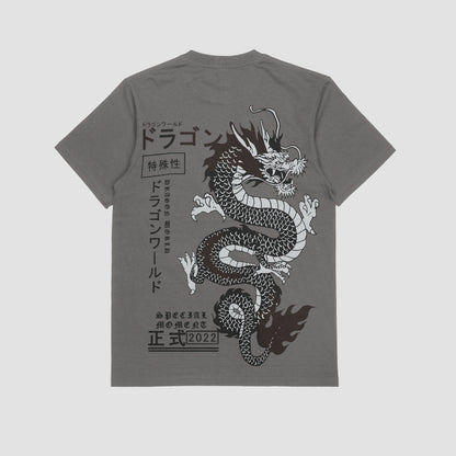 Camiseta Dragón
